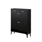 Large size Shoe Cabinet,Free Standing Tipping Bucket Shoe Rack Organizer with 2 Flip Drawers&2 Drawer