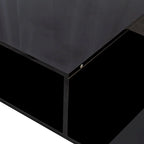 Modern Minimalist Stylish Coffee Table Double Layer Coffee Table with Open Storage, for Living Room, Black