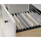 Sauder Select Collection Home Office Computer Desk