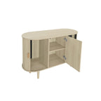 Storage Accent Cabniet with 3 door